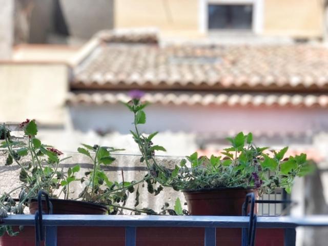 Old Catania Terrace Apartman Kültér fotó
